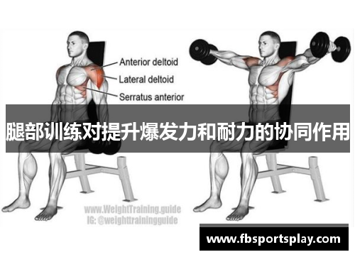 腿部训练对提升爆发力和耐力的协同作用